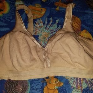 Nude 42d bra
